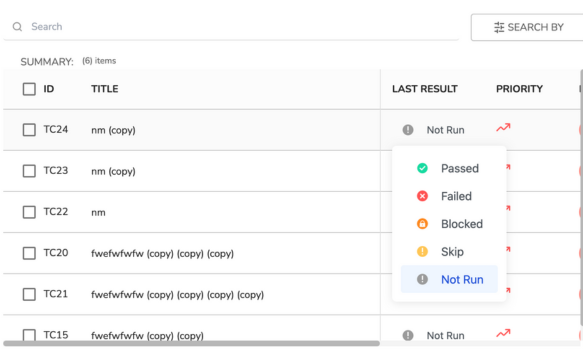 Executing Test Case