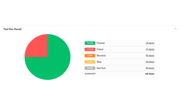Test Execution Report